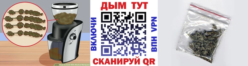 Canna-Cookies марихуана  Краснознаменск 