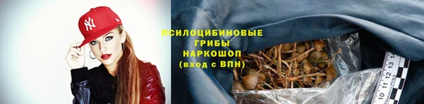 спиды Алексин