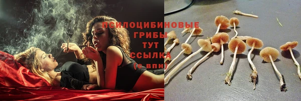 спиды Алексин