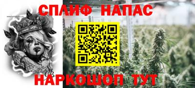 стаф Канаш