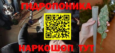 стаф Канаш