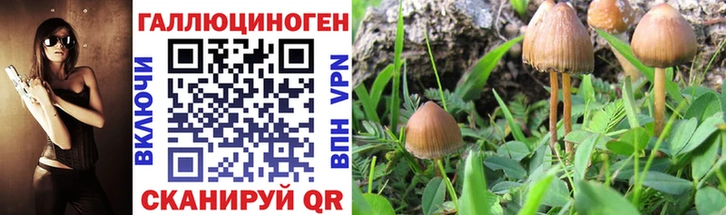 Псилоцибиновые грибы мухоморы  ОМГ ОМГ ТОР  Краснознаменск 