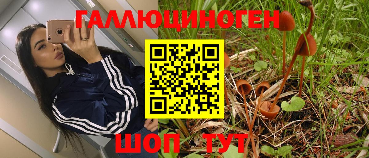 Псилоцибиновые грибы Magic Shrooms  как найти   Псилоцибиновые грибы прущие грибы  Краснознаменск  Вход с VPN 