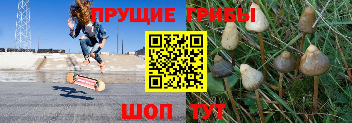 Галлюциногенные грибы Cubensis Краснознаменск